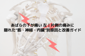 あばらの下が痛い 左｜片側の痛みに隠れた“筋・神経・内臓”別原因と改善ガイド