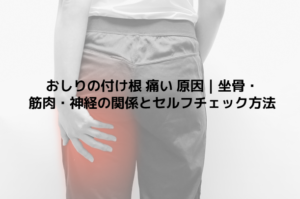 おしりの付け根 痛い 原因｜坐骨・筋肉・神経の関係とセルフチェック方法