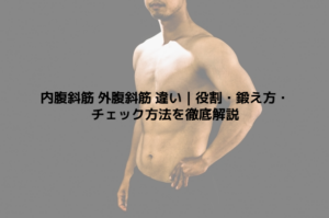 内腹斜筋 外腹斜筋 違い｜役割・鍛え方・チェック方法を徹底解説