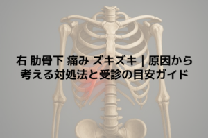 右 肋骨下 痛み ズキズキ｜原因から考える対処法と受診の目安ガイド