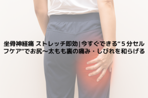 坐骨神経痛 ストレッチ即効|今すぐできる“５分セルフケア”でお尻〜太もも裏の痛み・しびれを和らげる