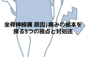 坐骨神経痛 原因|痛みの根本を探る5つの視点と対処法