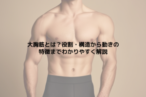 大胸筋とは？役割・構造から動きの特徴までわかりやすく解説