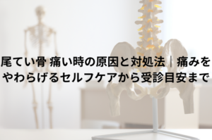 尾てい骨 痛い時の原因と対処法｜痛みをやわらげるセルフケアから受診目安まで